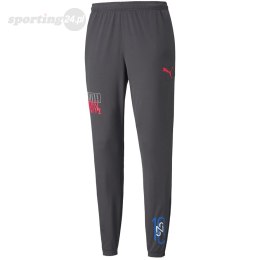 Spodnie męskie Puma Neymar Jr Futebol Training Pant szare 605600 07 Puma