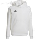 Bluza dla dzieci adidas Entrada 22 Hoody biała HG6303 Adidas teamwear