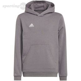 Bluza dla dzieci adidas Entrada 22 Hoody szara H57515 Adidas teamwear