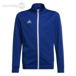 Bluza dla dzieci adidas Entrada 22 Track Jacket niebieska HG6288 Adidas teamwear