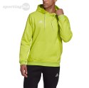 Bluza męska adidas Entrada 22 Hoody limonkowa HC5083 Adidas teamwear