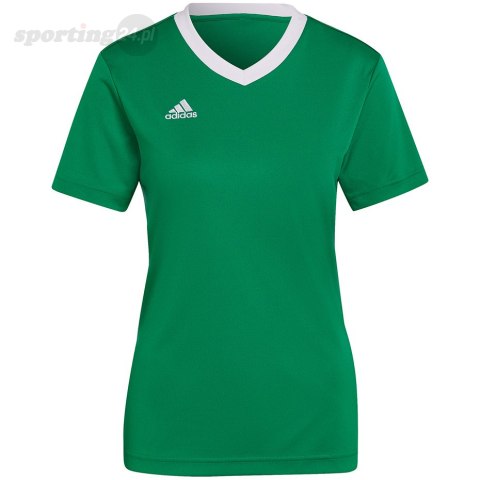 Koszulka damska adidas Entrada 22 Jersey zielona HI2124 Adidas teamwear