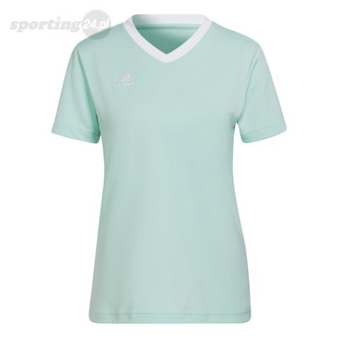 Koszulka damska adidas Entrada 22 Jsy miętowa HC5076 Adidas teamwear