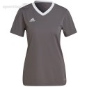 Koszulka damska adidas Entrada 22 Jsy szara H59848 Adidas teamwear