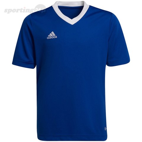 Koszulka dla dzieci adidas Entrada 22 Jsy niebieska HG3948 Adidas teamwear