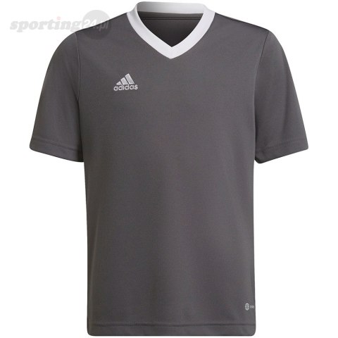 Koszulka dla dzieci adidas Entrada 22 Jsy szara H57499 Adidas teamwear