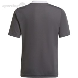 Koszulka dla dzieci adidas Entrada 22 Jsy szara H57499 Adidas teamwear