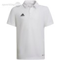 Koszulka dla dzieci adidas Entrada 22 Polo biała HC5059 Adidas teamwear