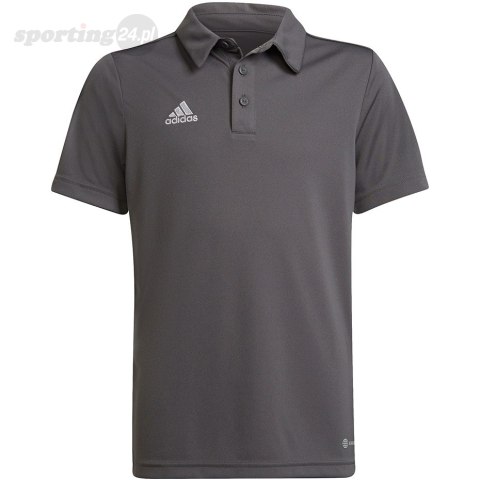 Koszulka dla dzieci adidas Entrada 22 Polo szara H57485 Adidas teamwear