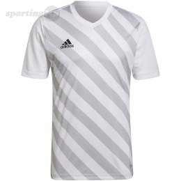 Koszulka męska adidas Entrada 22 Graphic Jersey biało-szara HF0129 Adidas teamwear