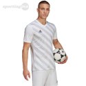 Koszulka męska adidas Entrada 22 Graphic Jersey biało-szara HF0129 Adidas teamwear