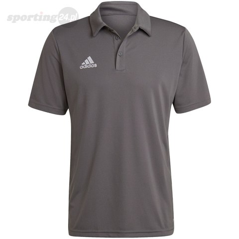 Koszulka męska adidas Entrada 22 Polo szara H57486 Adidas teamwear