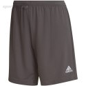 Spodenki damskie adidas Entrada 22 szare HH9995 Adidas teamwear