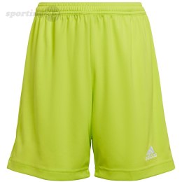 Spodenki dla dzieci adidas Entrada 22 limonkowe HC5065 Adidas teamwear