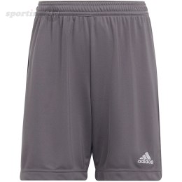 Spodenki dla dzieci adidas Entrada 22 szare H57507 Adidas teamwear