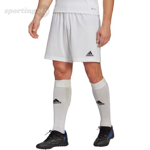 Spodenki męskie adidas Entrada 22 białe HG6295 Adidas teamwear