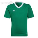 Koszulka dla dzieci adidas Entrada 22 Jersey zielona HI2126 Adidas teamwear