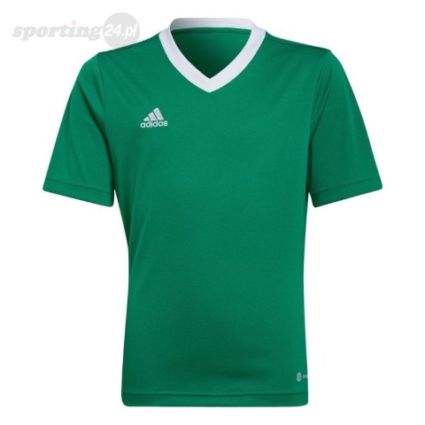 Koszulka dla dzieci adidas Entrada 22 Jersey zielona HI2126 Adidas teamwear