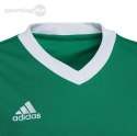 Koszulka dla dzieci adidas Entrada 22 Jersey zielona HI2126 Adidas teamwear