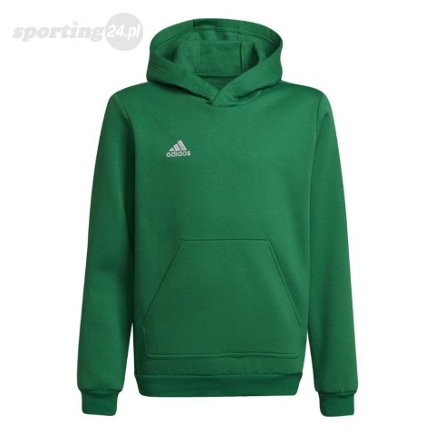 Bluza dla dzieci adidas Entrada 22 Hoody zielona HI2143 Adidas teamwear