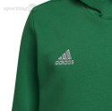 Bluza dla dzieci adidas Entrada 22 Hoody zielona HI2143 Adidas teamwear