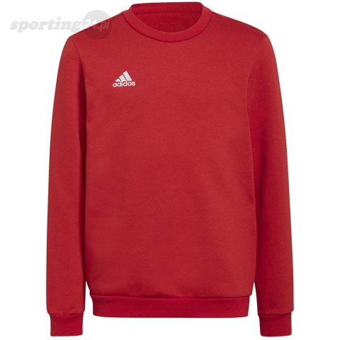 Bluza dla dzieci adidas Entrada 22 Sweat Top czerwona H57473 Adidas teamwear