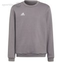 Bluza dla dzieci adidas Entrada 22 Sweat Top szara H57477 Adidas teamwear