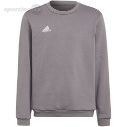 Bluza dla dzieci adidas Entrada 22 Sweat Top szara H57477 Adidas teamwear