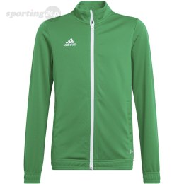 Bluza dla dzieci adidas Entrada 22 Track Jacket zielona HI2138 Adidas teamwear