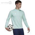 Bluza męska adidas Entrada 22 Training Top miętowa HC5050 Adidas teamwear