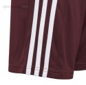 Spodenki dla dzieci adidas Squadra 21 Short bordowe GN8081 Adidas teamwear