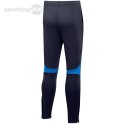 Spodnie dla dzieci Nike Academy Pro Pant Youth granatowe DH9325 451 Nike Team