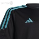 Koszulka dla dzieci adidas Tiro 23 Club Training Jersey czarno-niebieska IC1592 Adidas