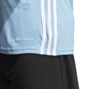 Koszulka męska adidas Tabela 23 Jersey błękitna IA9145 Adidas teamwear