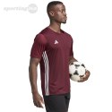 Koszulka męska adidas Tabela 23 Jersey bordowa IB4928 Adidas teamwear