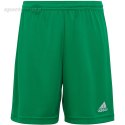 Spodenki dla dzieci adidas Entrada 22 zielone IC7410 Adidas teamwear