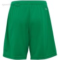 Spodenki dla dzieci adidas Entrada 22 zielone IC7410 Adidas teamwear