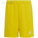 Spodenki dla dzieci adidas Entrada 22 żółte IC7411 Adidas teamwear