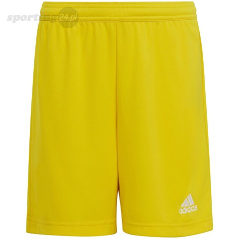 Spodenki dla dzieci adidas Entrada 22 żółte IC7411 Adidas teamwear