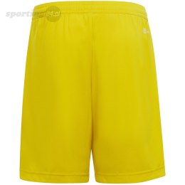 Spodenki dla dzieci adidas Entrada 22 żółte IC7411 Adidas teamwear