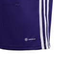 Koszulka dla dzieci adidas Tabela 23 Jersey fioletowa IB4935 Adidas teamwear