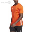 Koszulka męska adidas Tabela 23 Jersey pomarańczowa IB4927 Adidas teamwear