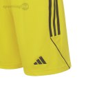 Spodenki dla dzieci adidas Tiro 23 League żólte IB8095 Adidas teamwear