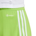 Spodenki męskie adidas Tiro 23 League limonkowe IB8088 Adidas teamwear