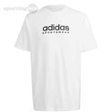 Koszulka męska adidas All SZN Graphic Tee biała IC9821 Adidas