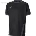 Koszulka dla dzieci Puma teamGOAL 23 Jersey czarna 704160 03 Puma