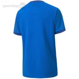 Koszulka dla dzieci Puma teamGOAL 23 Jersey niebieska 704160 02 Puma