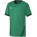 Koszulka dla dzieci Puma teamGOAL 23 Jersey zielona 704160 05 Puma