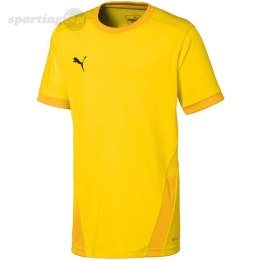 Koszulka dla dzieci Puma teamGOAL 23 Jersey żółta 704160 07 Puma