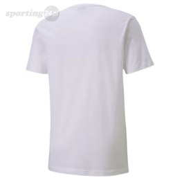 Koszulka męska Puma teamGOAL 23 Casuals Tee biała 656578 04 Puma